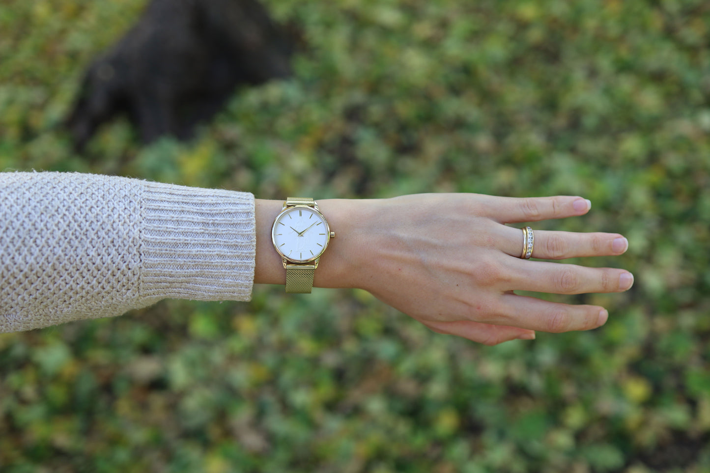 Beacon Gold 34mm